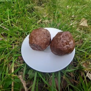 rundergehaktballen grasgevoerd natuurvlees